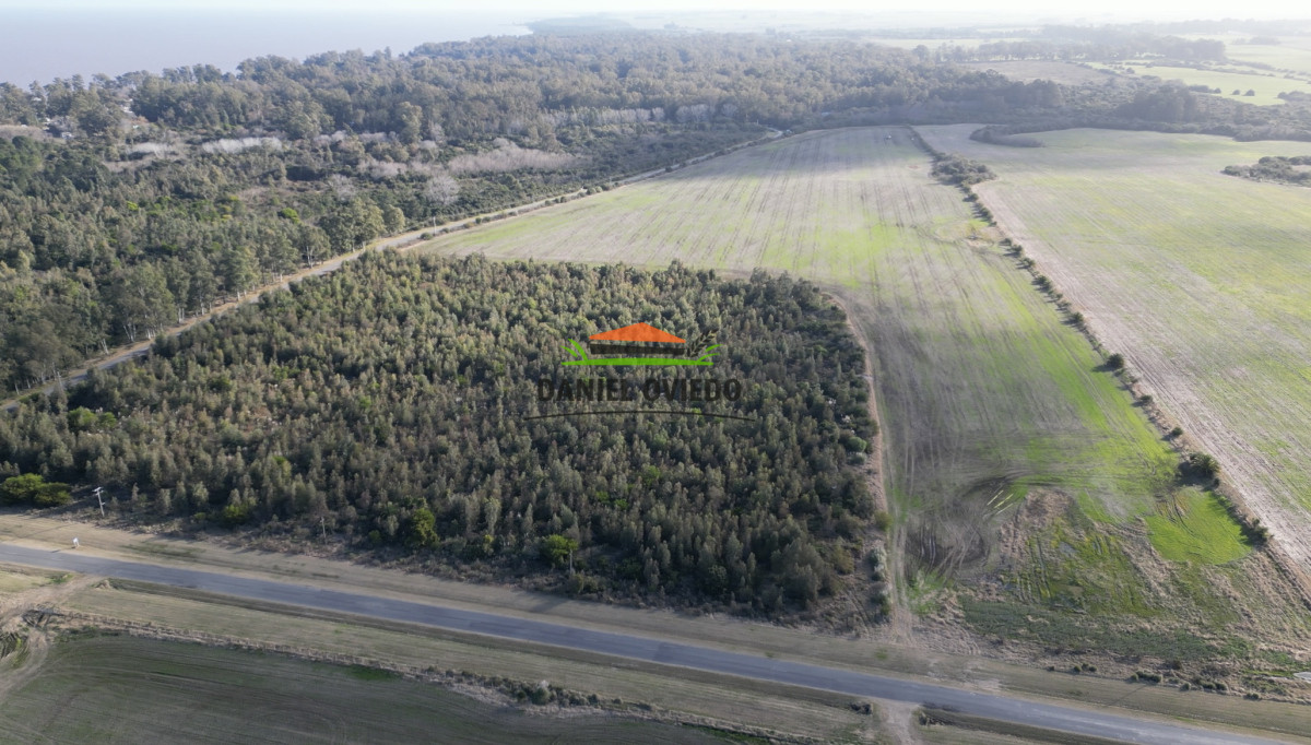Campo Ref.235/Campo-agrícola-de-23.8-has-próximo-a-balneario-Artilleros. - Campo agrícola de 23.8 has próximo a balneario Artilleros.