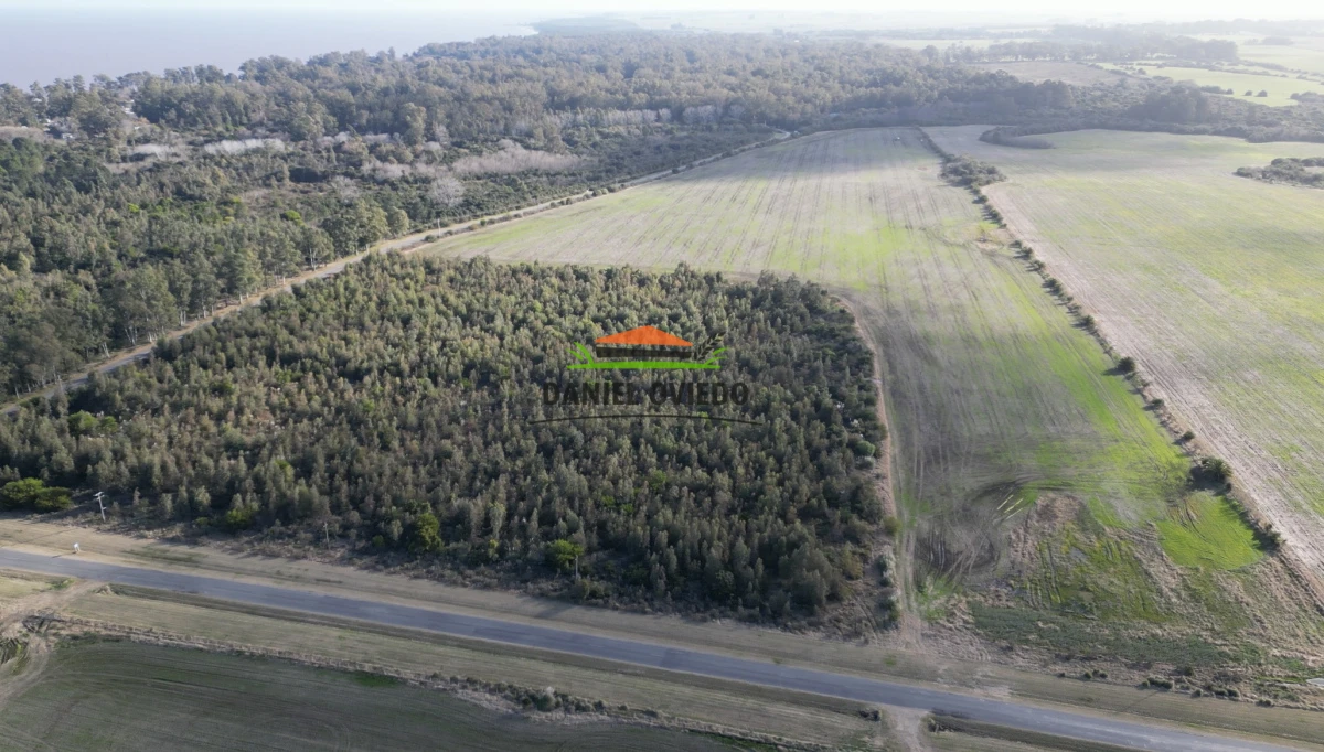 Campo Ref.235/Campo-agr - Campo agrícola de 23.8 has próximo a balneario Artilleros.