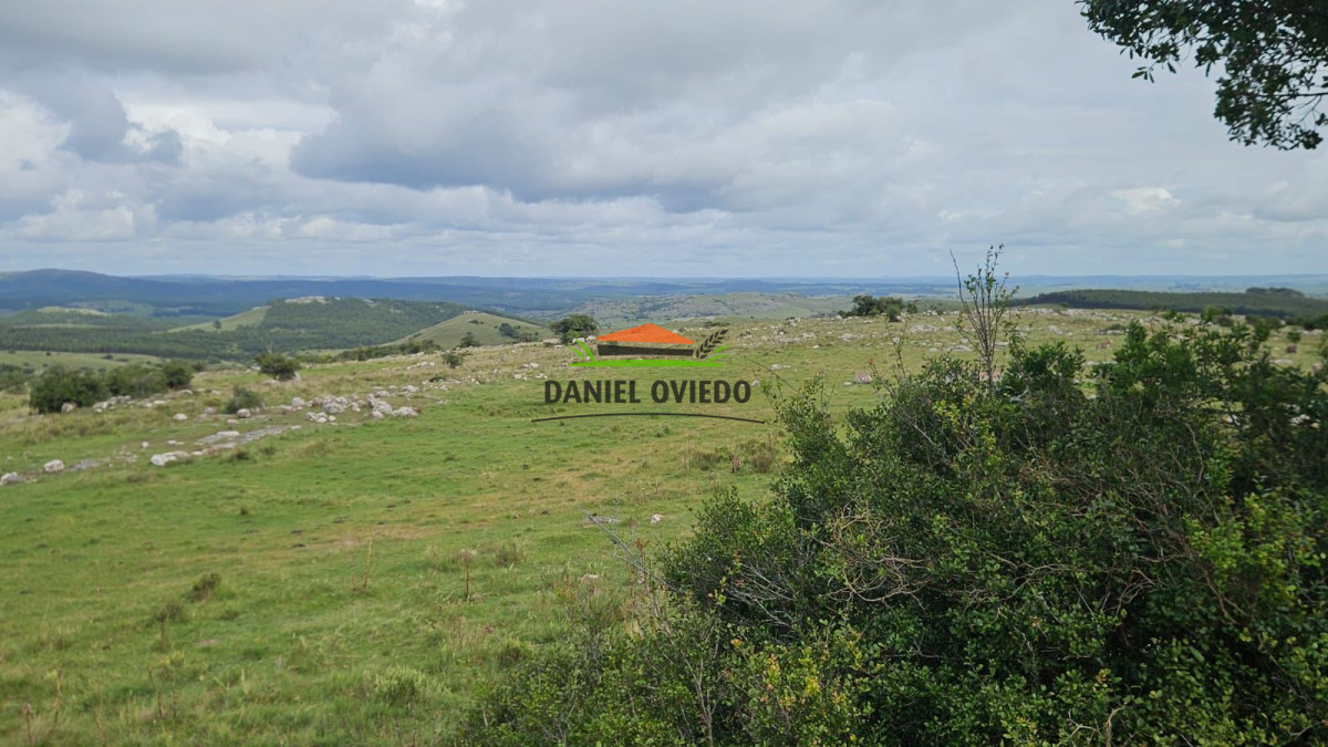 Campo Ref.362/650-has-campo-criador-en-venta-en-Lavalleja. - 650 has campo criador en venta en Lavalleja.