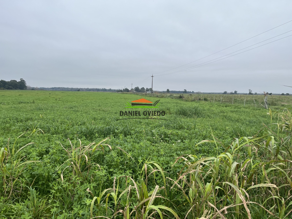 Campo Ref.10 - 20 hás en venta próximo a Colonia Delta, San José.