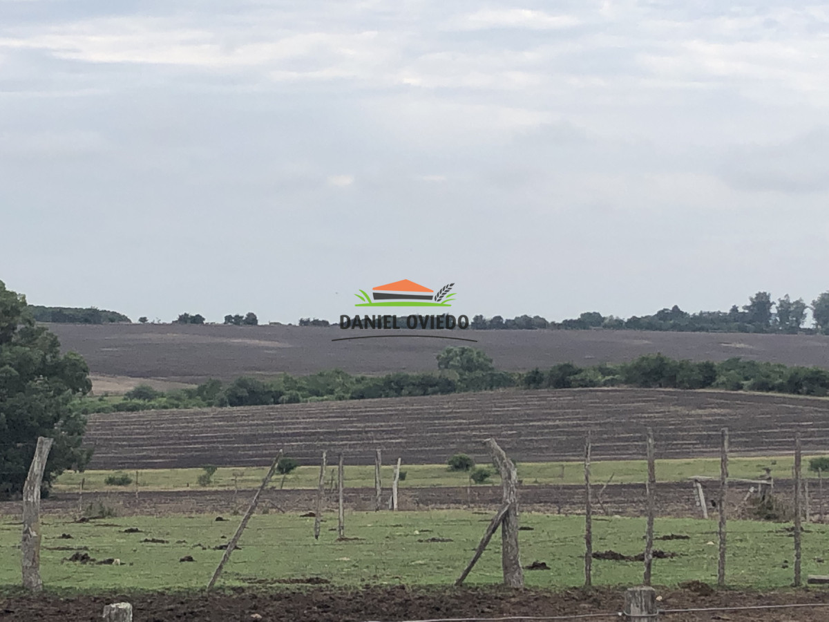 Campo Ref.182 - Campo agrícola en Carmelo. 187.6 hás. Colonia, Uruguay