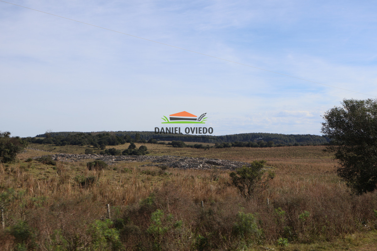 Campo Ref.210 - Estancia ganadera completa en venta de 3.000 has en Cerro Largo.