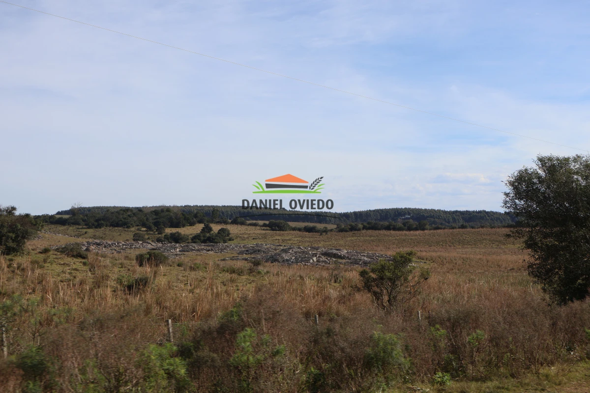 Campo Ref.210/Estancia-ganadera-completa-en-venta-de-2.956-has-en-Cerro-Largo. - Estancia ganadera completa en venta de 2.956 has en Cerro Largo.