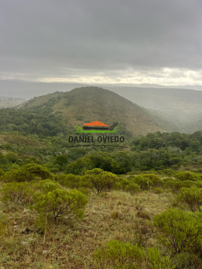 Campo Ref.350/Oportunidad-buen-campo-ganadero-en-venta-con-excelentes-vistas. - Oportunidad buen campo ganadero en venta con excelentes vistas.