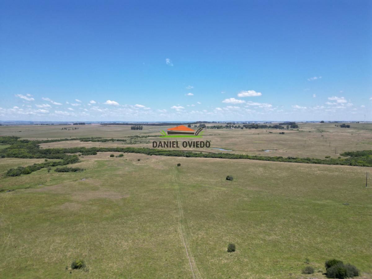 Campo Ref.357/Muy-buen-establecimiento-completo-en-venta-en-ruta-26-proximo-a-Melo. - Muy buen establecimiento completo en venta en ruta 26 proximo a Melo.