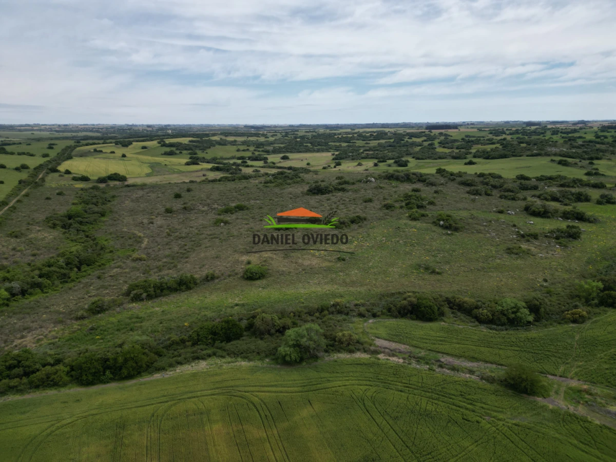 Campo Ref.302/Campo-de-18-hect - Campo de 18 hectáreas descansado con aguadas naturales y suelo fértil 5.02b