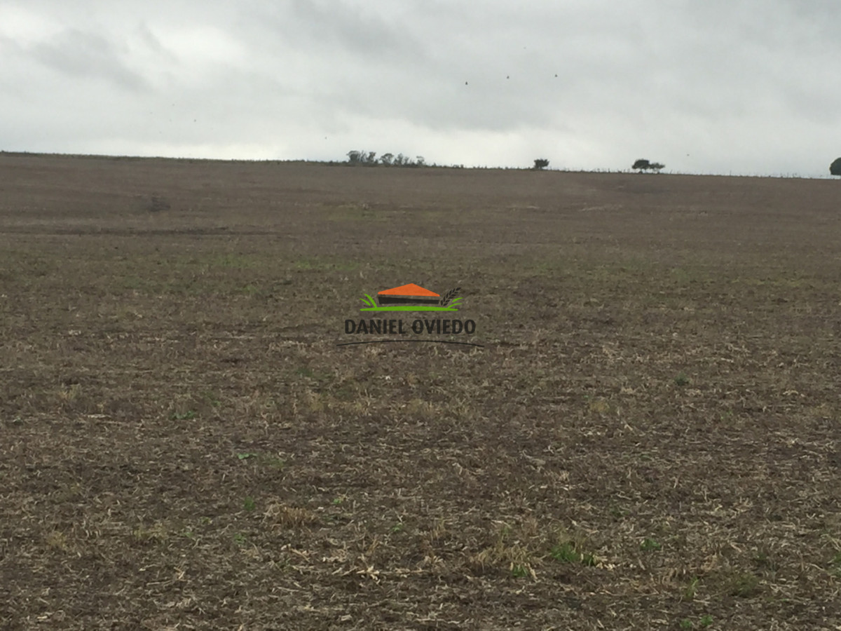 Campo Ref.417/Oportunidad-de-inversi - Oportunidad de inversión, campo agrícola-ganadero en venta en Soriano.