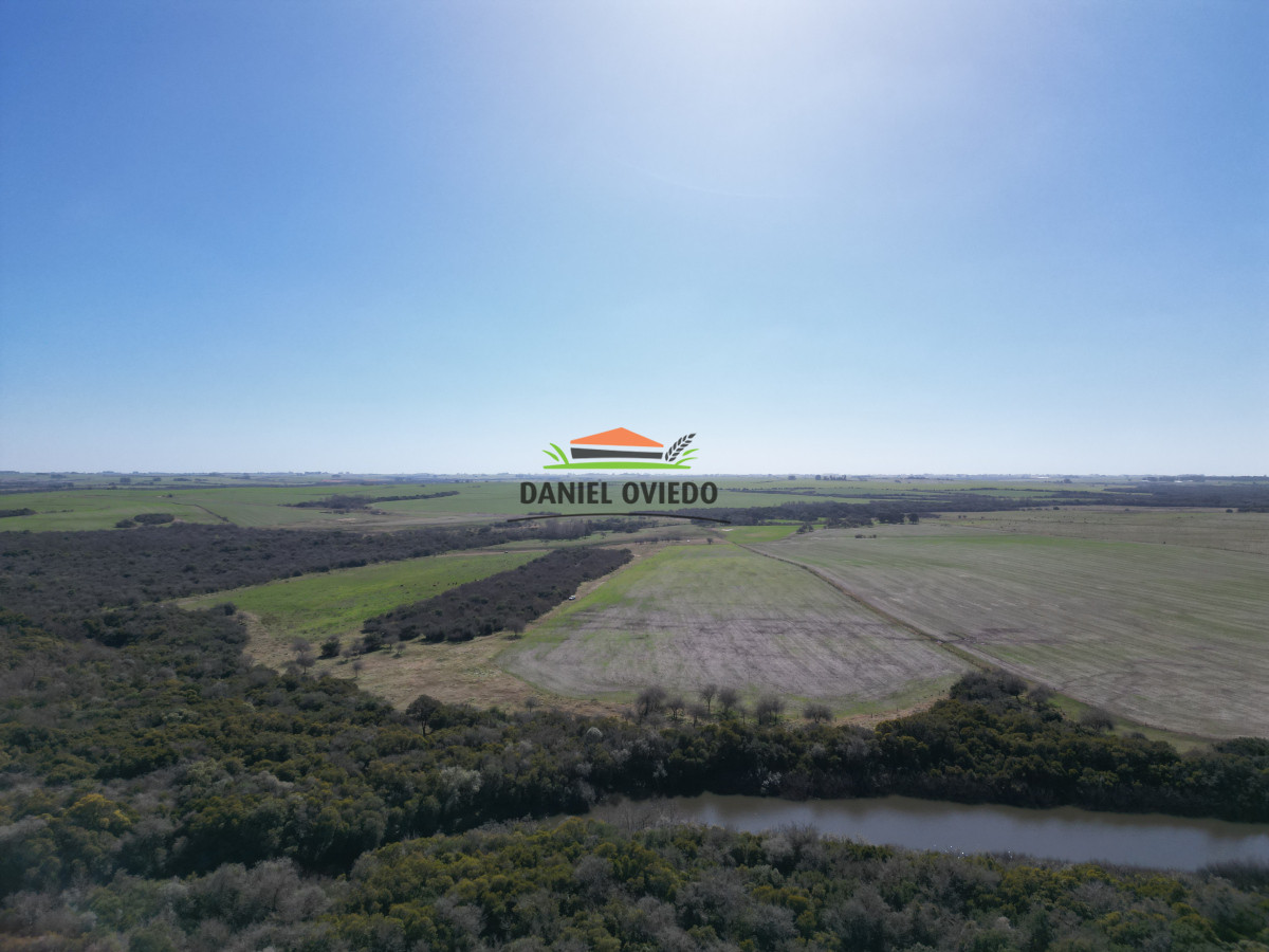 Campo Ref.243/Campo-agrícola-ganadero-en-venta-con-costa-de-arroyo. - Campo agrícola ganadero en venta con costa de arroyo.