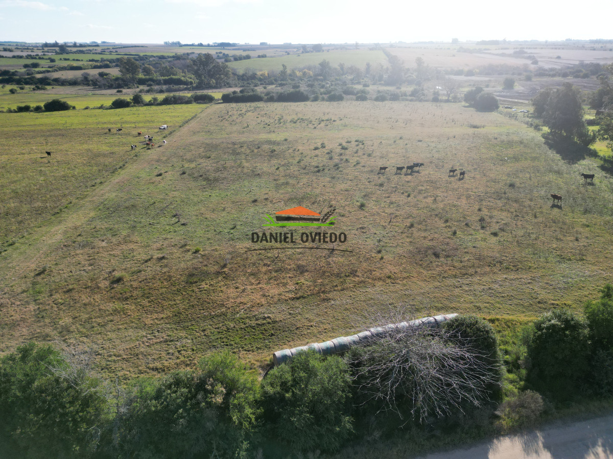 Campo Ref.208 - Campo agrícola ganadero de 20,95 has en Miguelete de Campana.