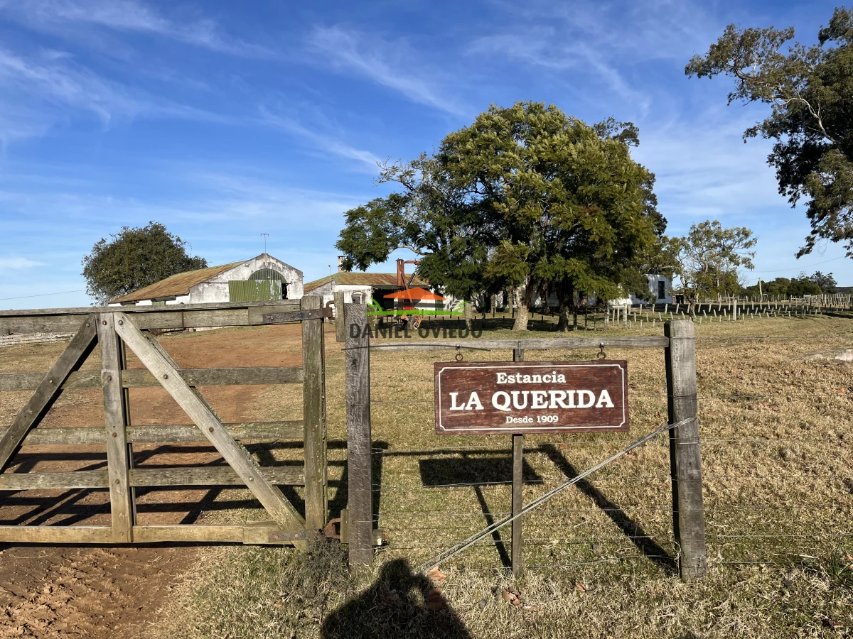 Campo Ref.210/Estancia-ganadera-completa-en-venta-de-2.956-has-en-Cerro-Largo. - Estancia ganadera completa en venta de 2.956 has en Cerro Largo.