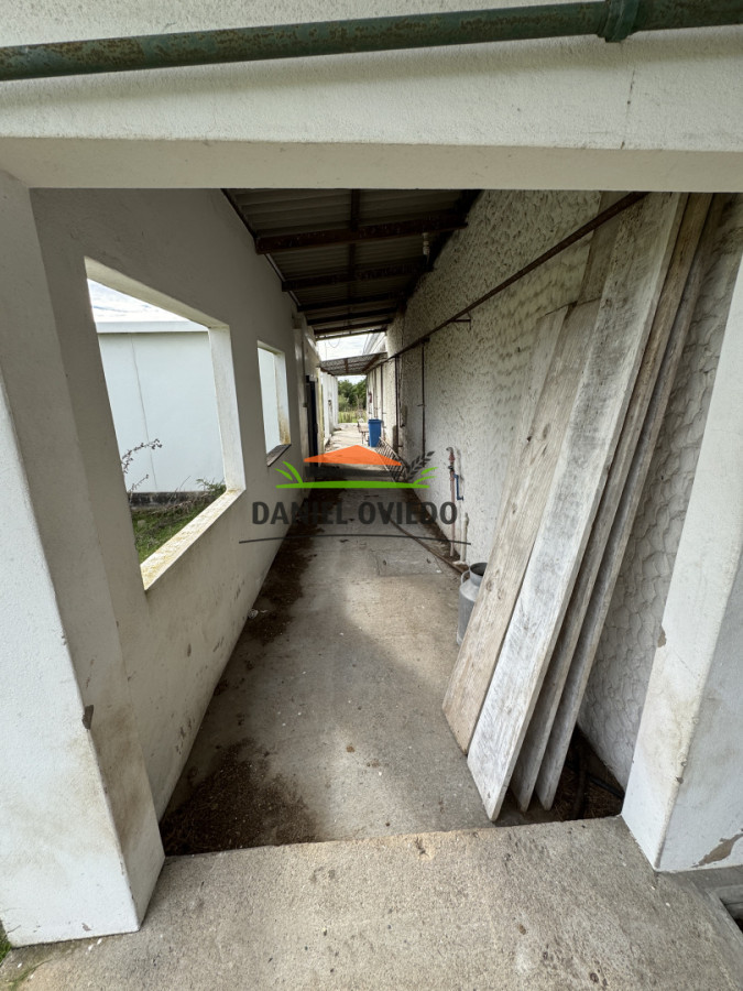 Campo Ref.377/Establecimiento-con-f - Establecimiento con fábrica y 33 Hás de campo - Instalaciones y equipamiento incluidos | Colonia