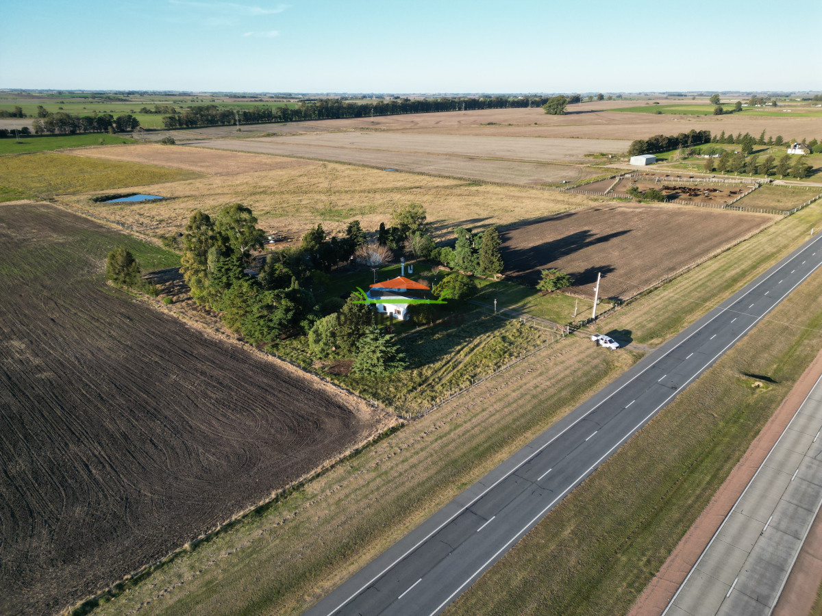 Campo Ref.209 - Excepcional ubicación en ruta 1 y campo productivo donde nadie vende.