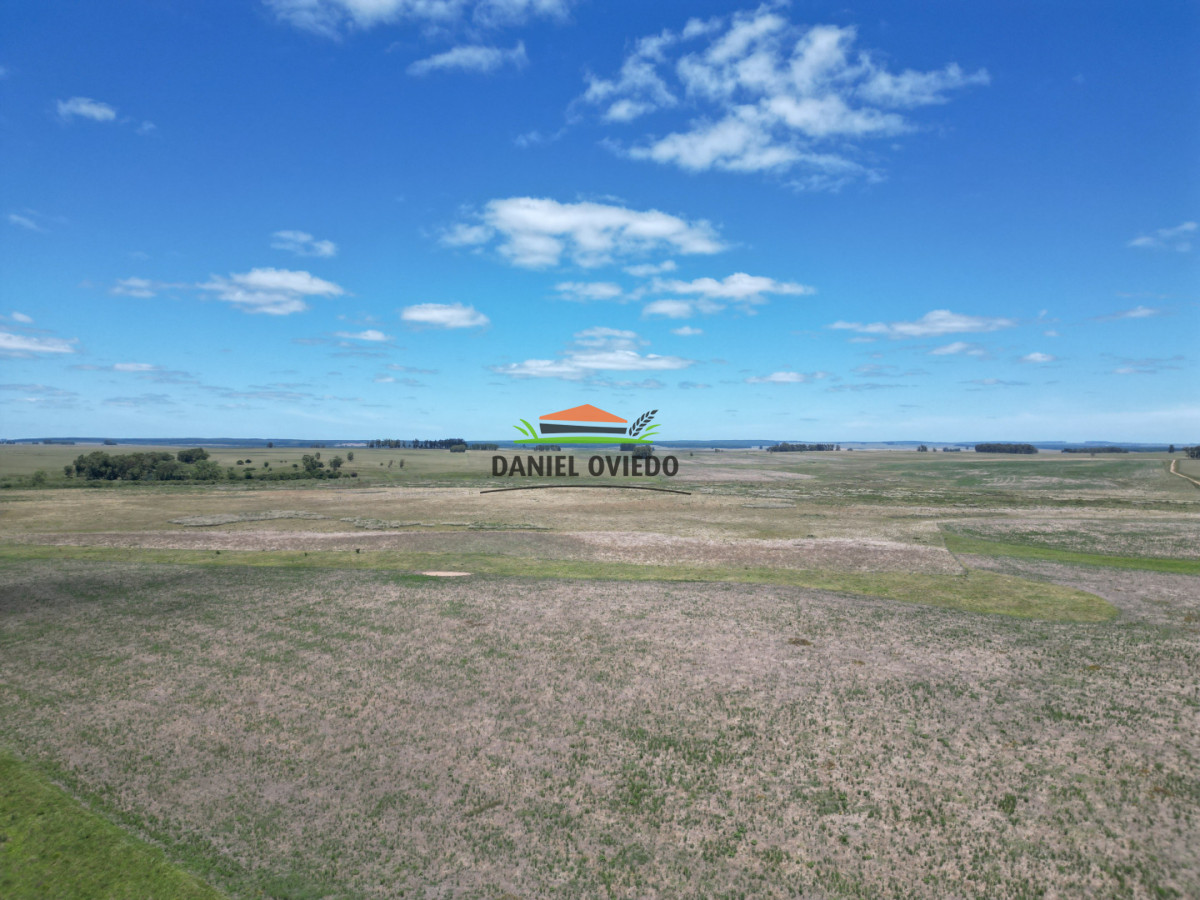 Campo Ref.359/Estancia-de-945-has-en-venta-en-Cerro-Largo. - Estancia de 945 has en venta en Cerro Largo.