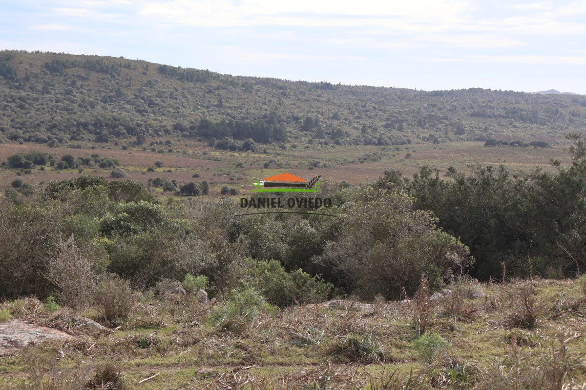 Campo Ref.210/Estancia-ganadera-completa-en-venta-de-2.956-has-en-Cerro-Largo. - Estancia ganadera completa en venta de 2.956 has en Cerro Largo.