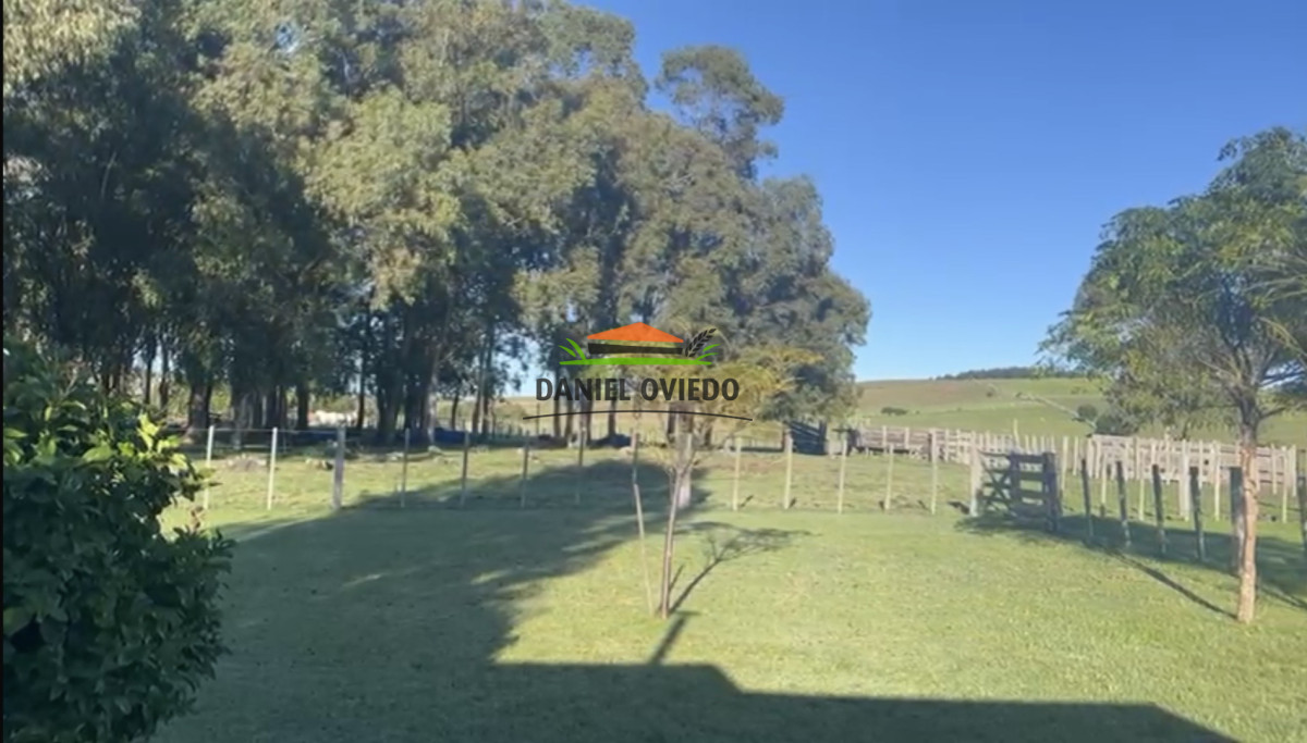 Campo Ref.354/Establecimiento-completo-campo-criador,-ganadero-en-venta-de-302-has. - Establecimiento completo campo criador, ganadero en venta de 302 has.