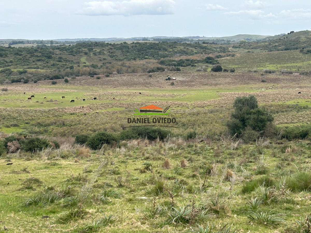 Campo Ref.211 - Estancia La Querida, Cerro Largo, 1.675 has en venta.