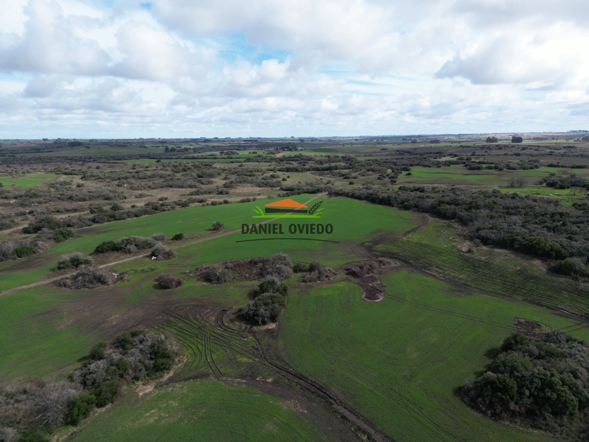 Campo Ref.249/Buen-campo-ganadero-en-venta-ideal-para-engorde. - Buen campo ganadero en venta ideal para engorde.