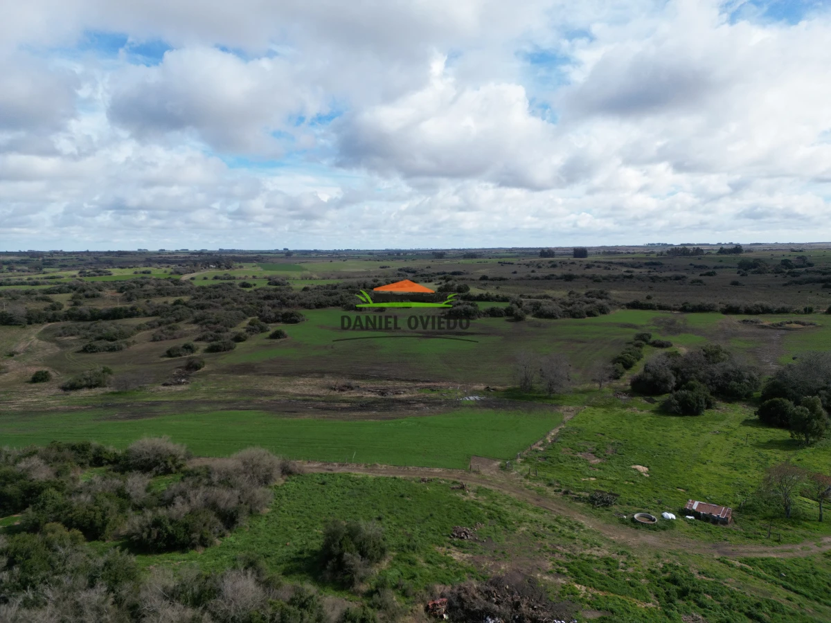 Campo Ref.249/Buen-campo-ganadero-en-venta-ideal-para-engorde. - Buen campo ganadero en venta ideal para engorde.