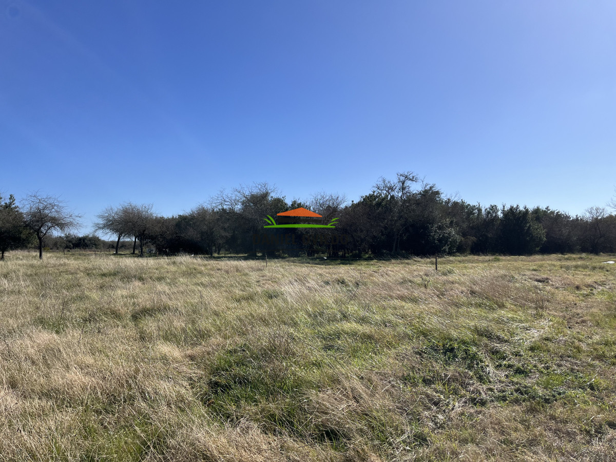 Campo Ref.243/Campo-agrícola-ganadero-en-venta-con-costa-de-arroyo. - Campo agrícola ganadero en venta con costa de arroyo.