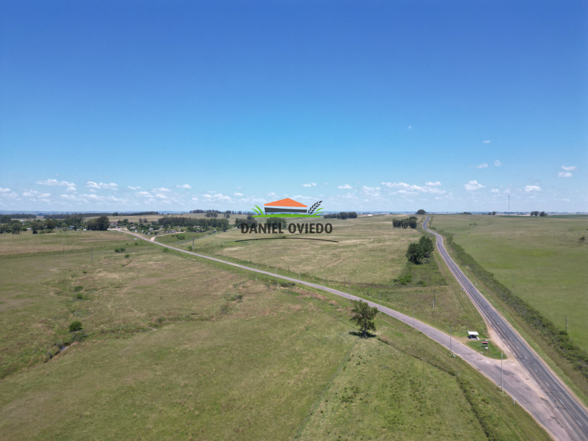 Campo Ref.357/Muy-buen-establecimiento-completo-en-venta-en-ruta-26-proximo-a-Melo. - Muy buen establecimiento completo en venta en ruta 26 proximo a Melo.