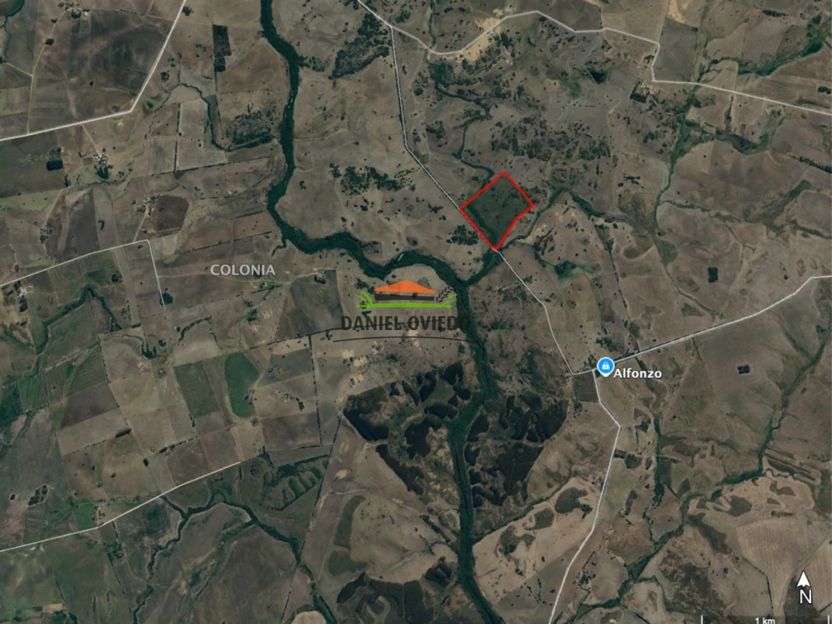 Campo Ref.302/Campo-de-18-hect - Campo de 18 hectáreas descansado con aguadas naturales y suelo fértil 5.02b