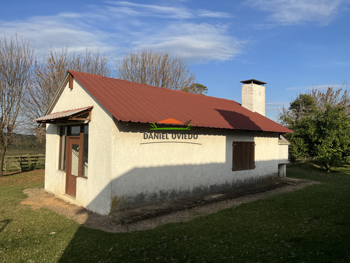 Campo Ref.201/Establecimiento-completo-de-400-h - Establecimiento completo de 400 hás en venta en Flores.