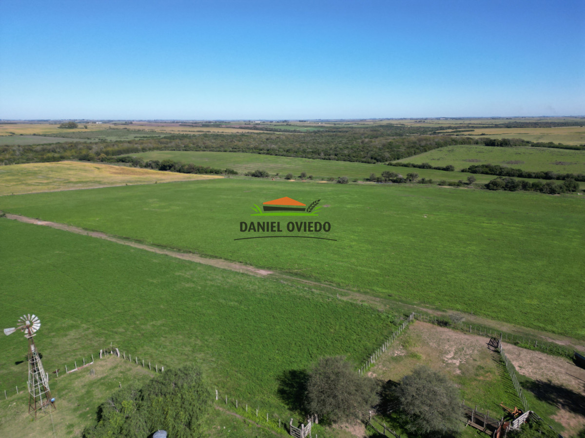 Campo Ref.381/Campo-agr - Campo agrícola en venta en zona de Víboras, Colonia.