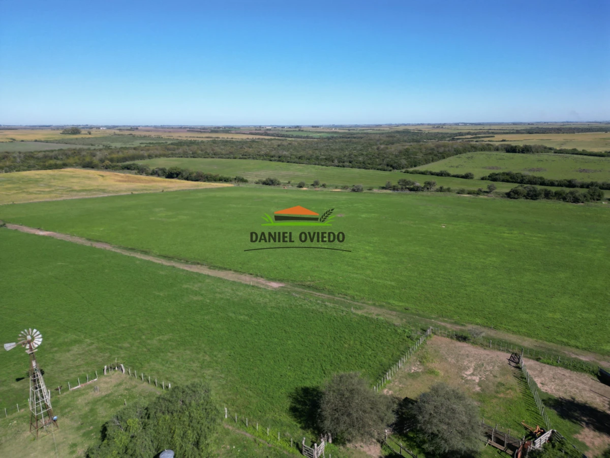 Campo Ref.381/Campo-agr - Campo agrícola en venta en zona de Víboras, Colonia.
