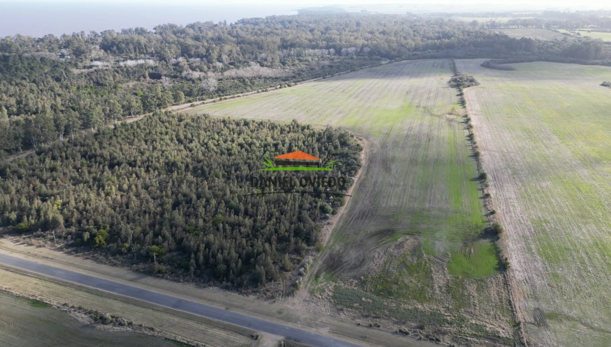 Campo Ref.235/Campo-agr - Campo agrícola de 23.8 has próximo a balneario Artilleros.