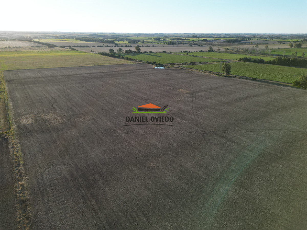 Campo Ref.207 - Excelente campo agrícola en venta en ruta 1, San José.