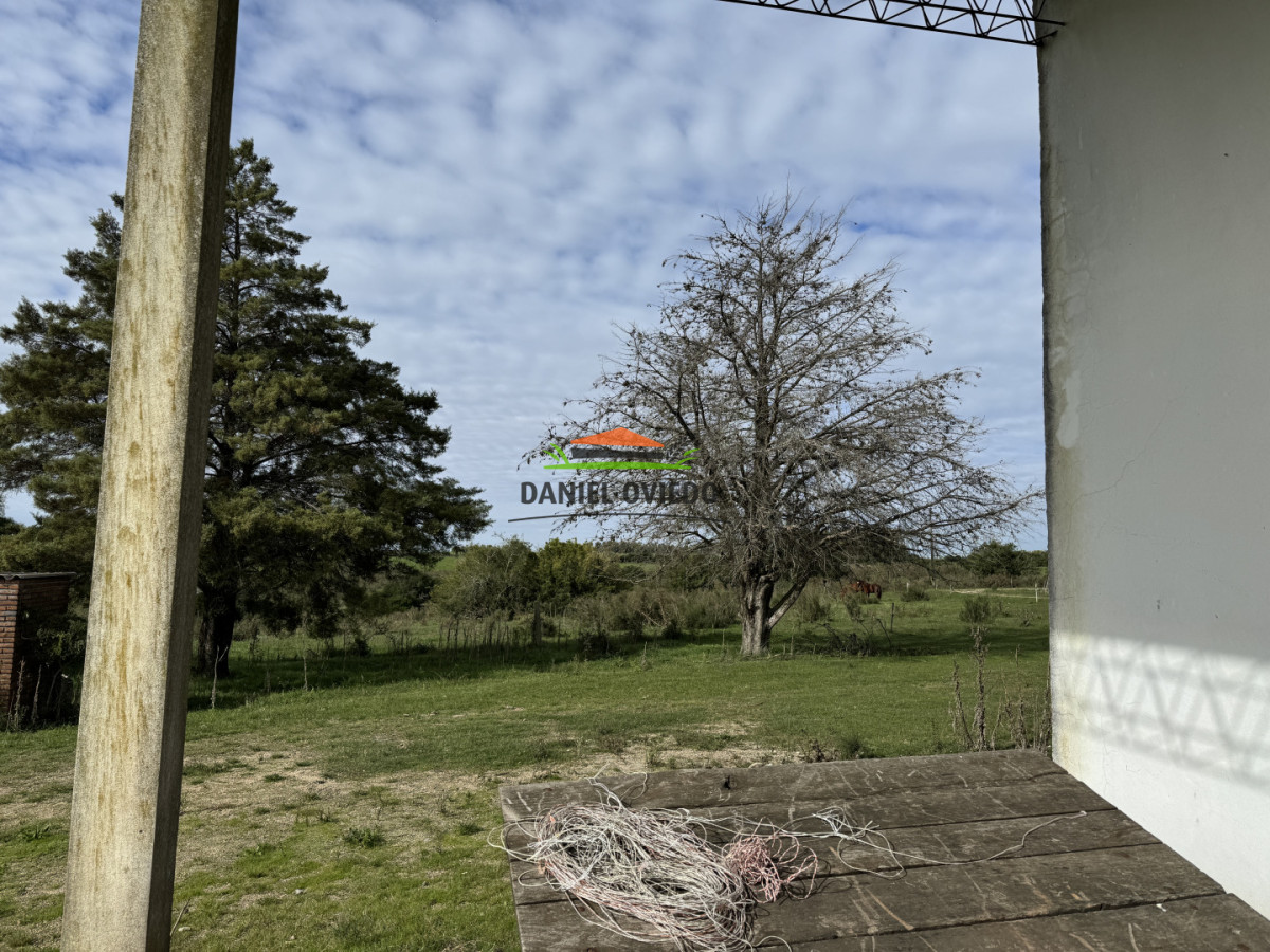 Campo Ref.377/Establecimiento-con-f - Establecimiento con fábrica y 33 Hás de campo - Instalaciones y equipamiento incluidos | Colonia
