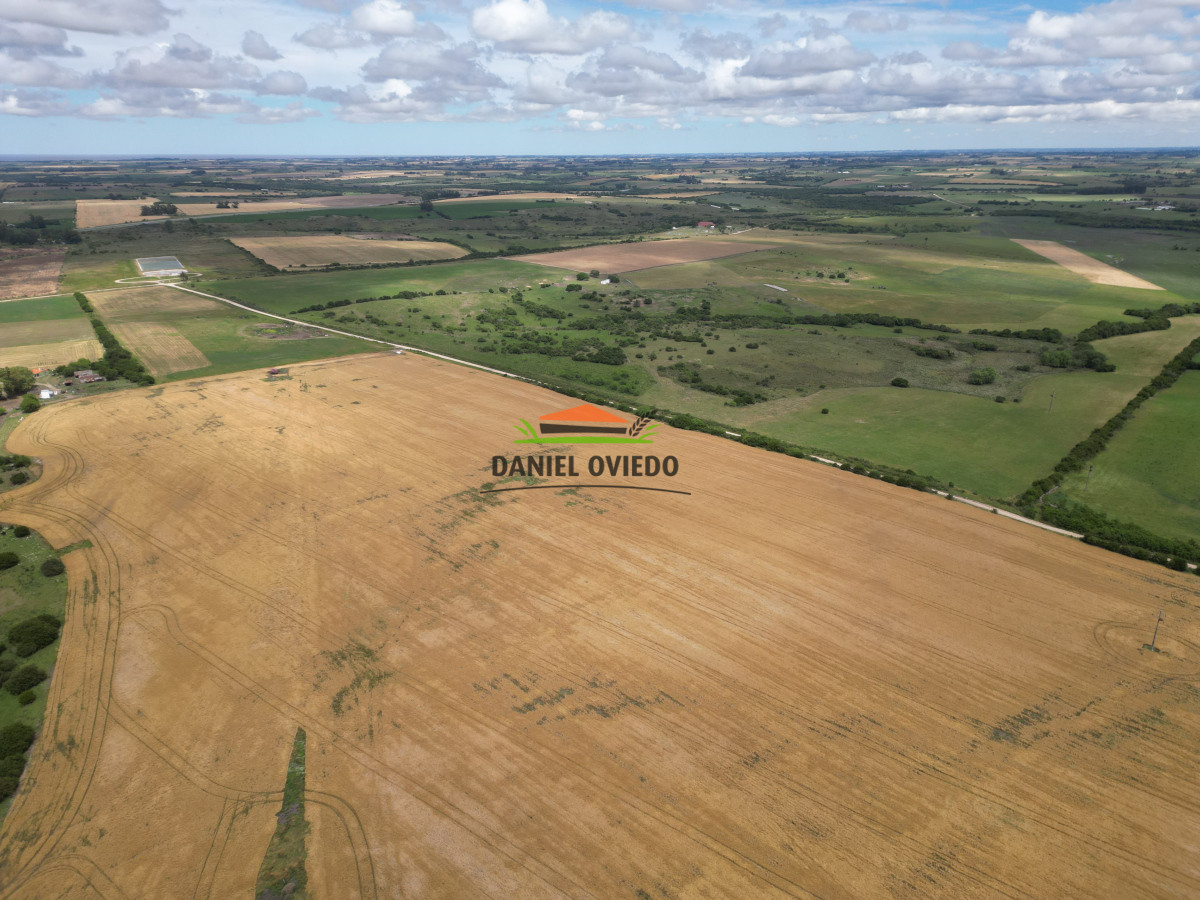 Campo Ref.144 - Campo agrícola - ganadero de 36 hás en venta, Ecilda Paullier