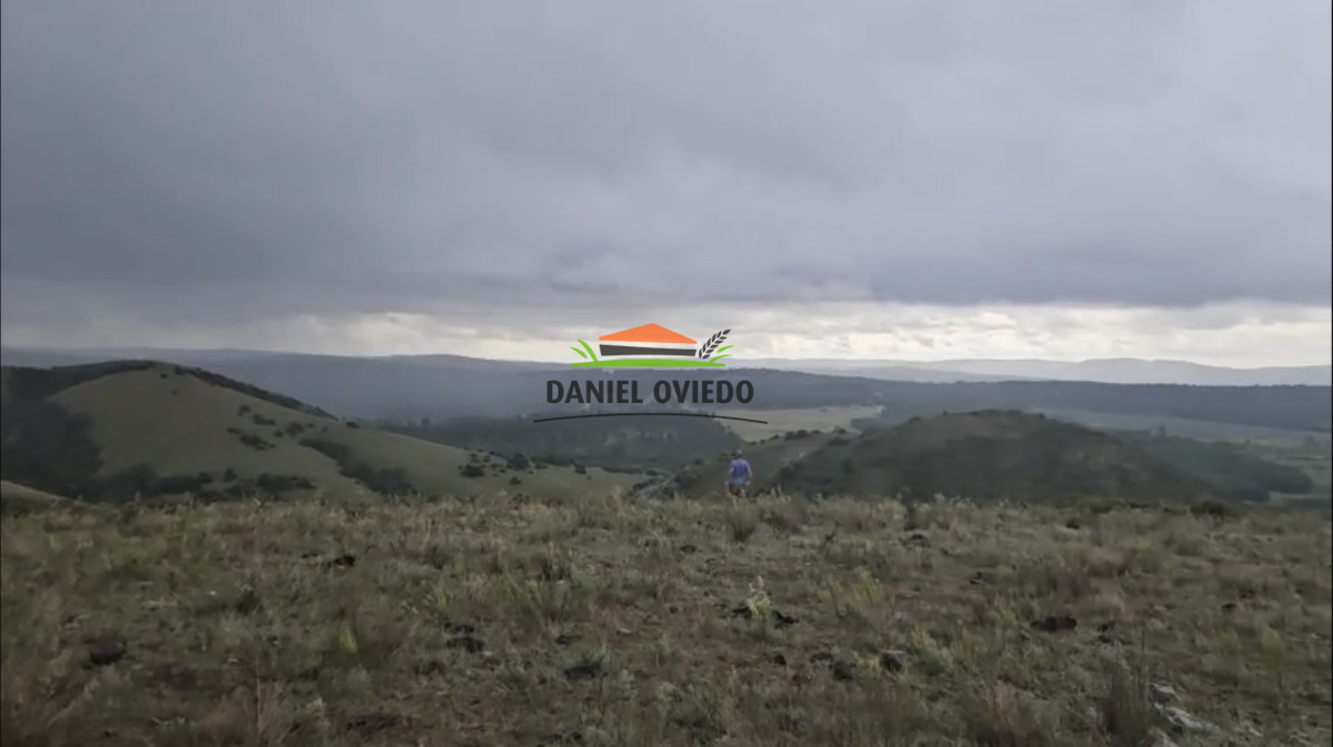 Campo Ref.350/Oportunidad-buen-campo-ganadero-en-venta-con-excelentes-vistas. - Oportunidad buen campo ganadero en venta con excelentes vistas.