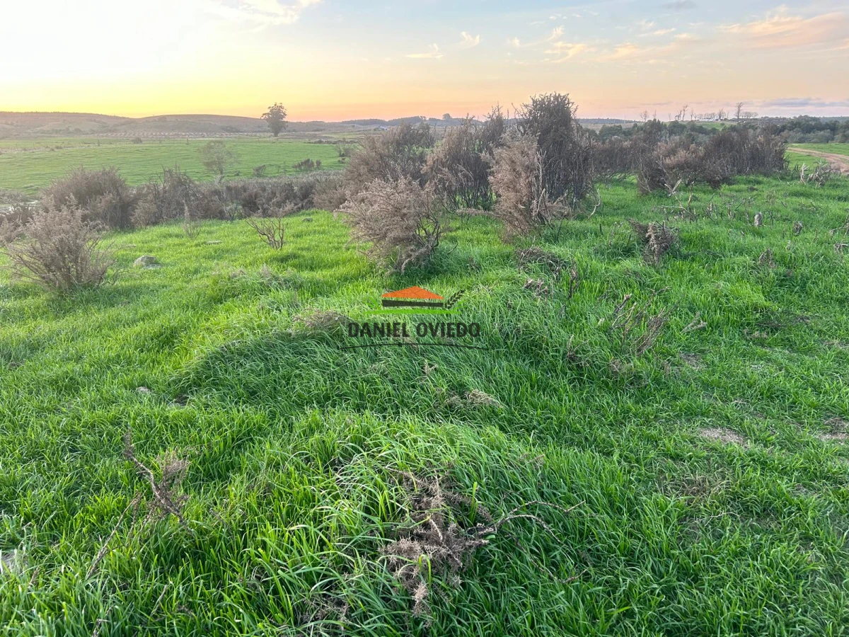 Campo Ref.210/Estancia-ganadera-completa-en-venta-de-2.956-has-en-Cerro-Largo. - Estancia ganadera completa en venta de 2.956 has en Cerro Largo.