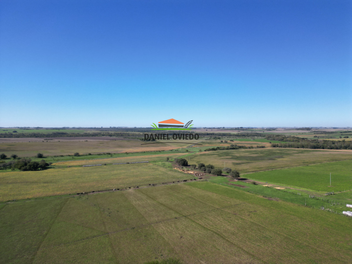 Campo Ref.381/Campo-agr - Campo agrícola en venta en zona de Víboras, Colonia.