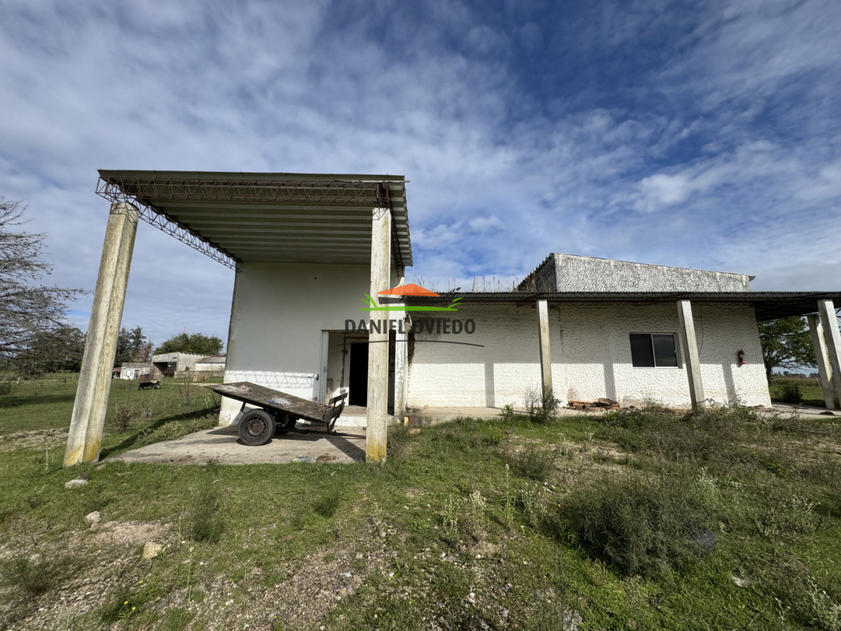 Campo Ref.377/Establecimiento-con-f - Establecimiento con fábrica y 33 Hás de campo - Instalaciones y equipamiento incluidos | Colonia