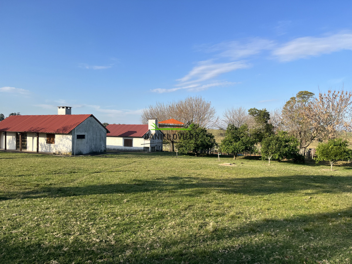 Campo Ref.201/Establecimiento-completo-de-400-h - Establecimiento completo de 400 hás en venta en Flores.