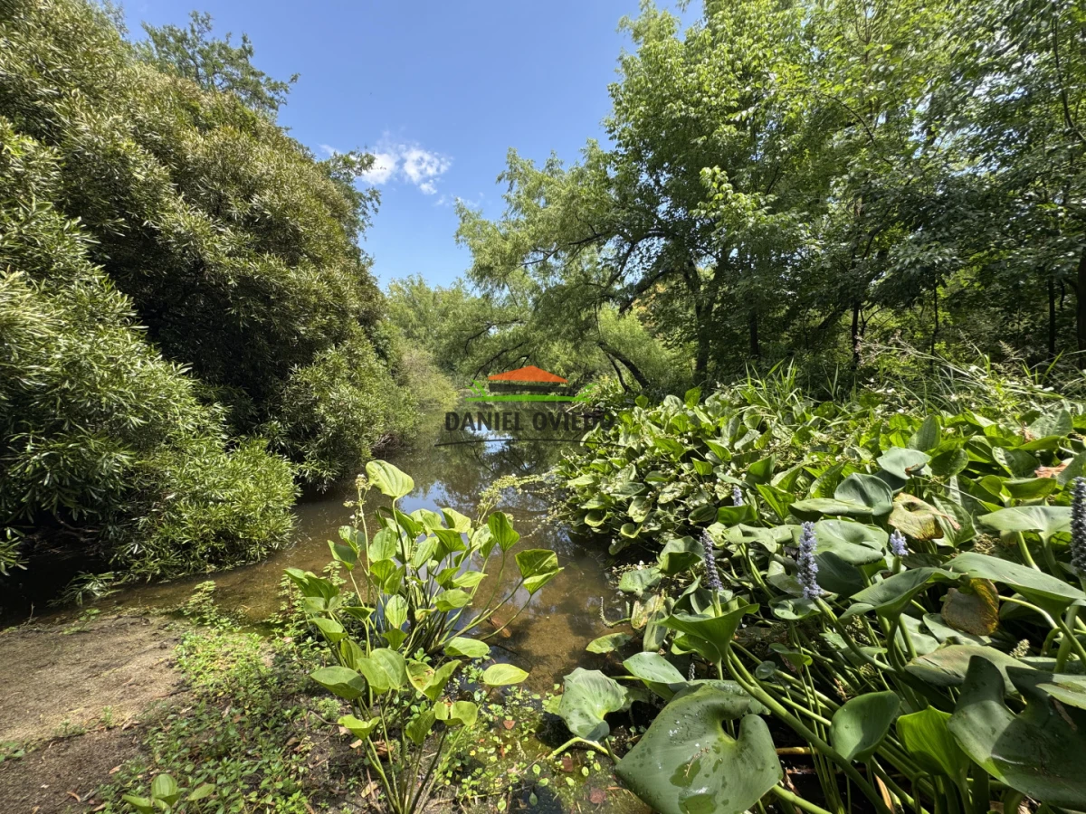 Campo Ref.336/Campo-agr - Campo agrícola de 18,9 hás con renta anual - Nueva Helvecia