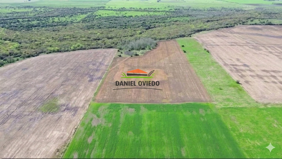 Campo Ref.413/🌾- - 🌾 ¡NUEVA OPORTUNIDAD DE INVERSIÓN AGRÍCOLA EN SAN JOSÉ! 🚜