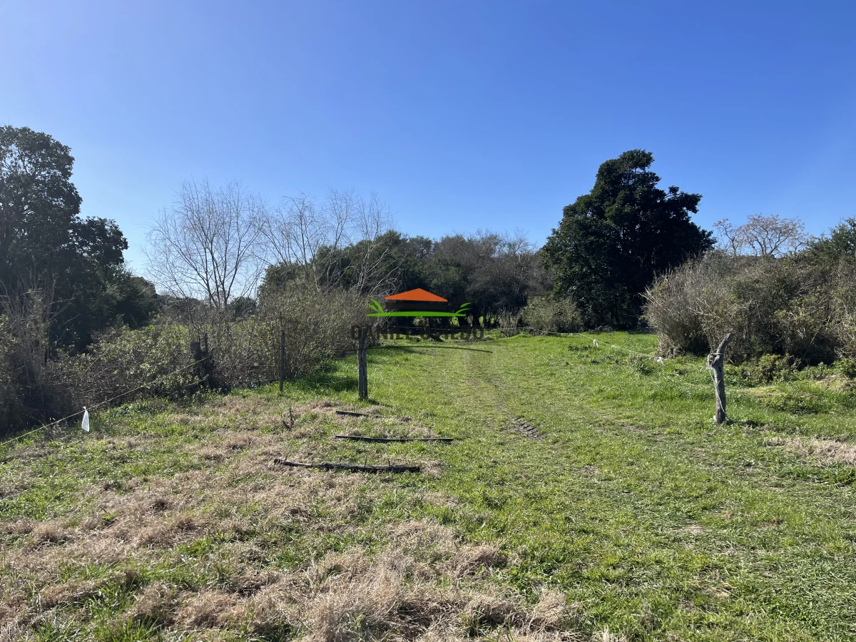 Campo Ref.243/Campo-agrícola-ganadero-en-venta-con-costa-de-arroyo. - Campo agrícola ganadero en venta con costa de arroyo.