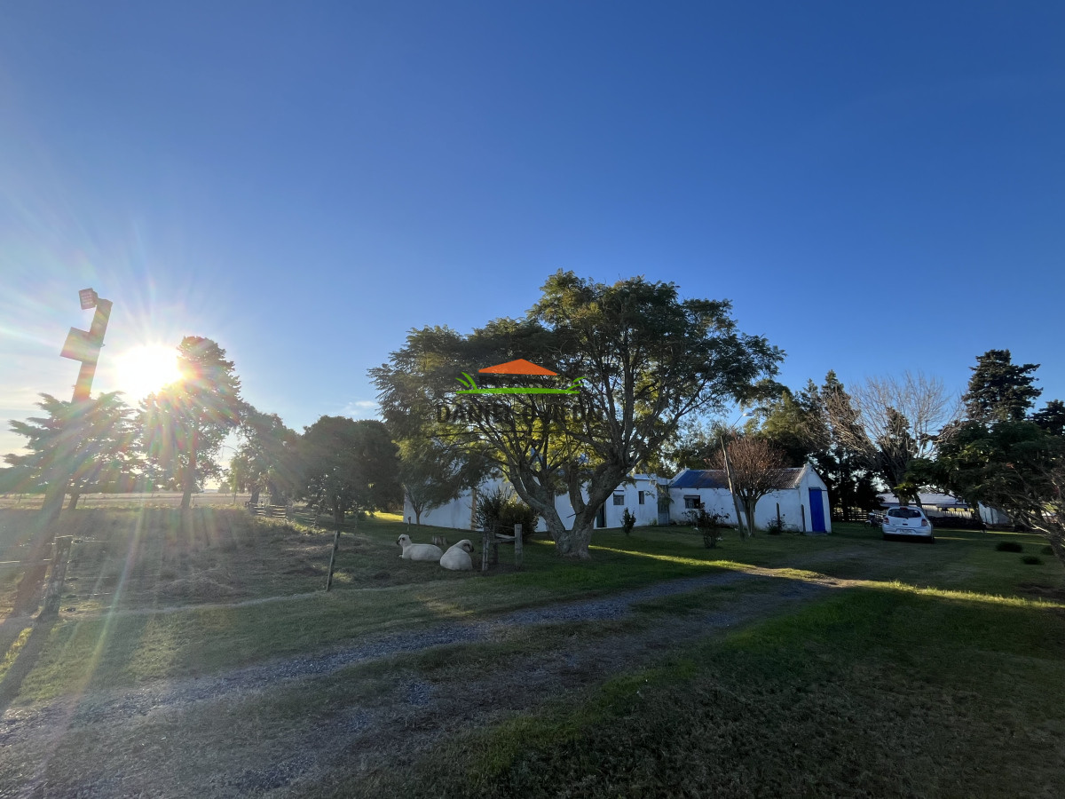Campo Ref.209 - Excepcional ubicación en ruta 1 y campo productivo donde nadie vende.