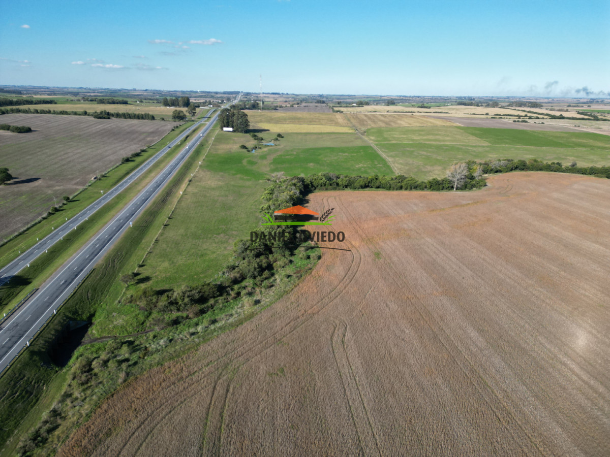 Campo Ref.383/22-Hect - 22 Hectáreas Agrícolas sobre Ruta 1 | Excelente Ubicación y Muy Buenos Suelos