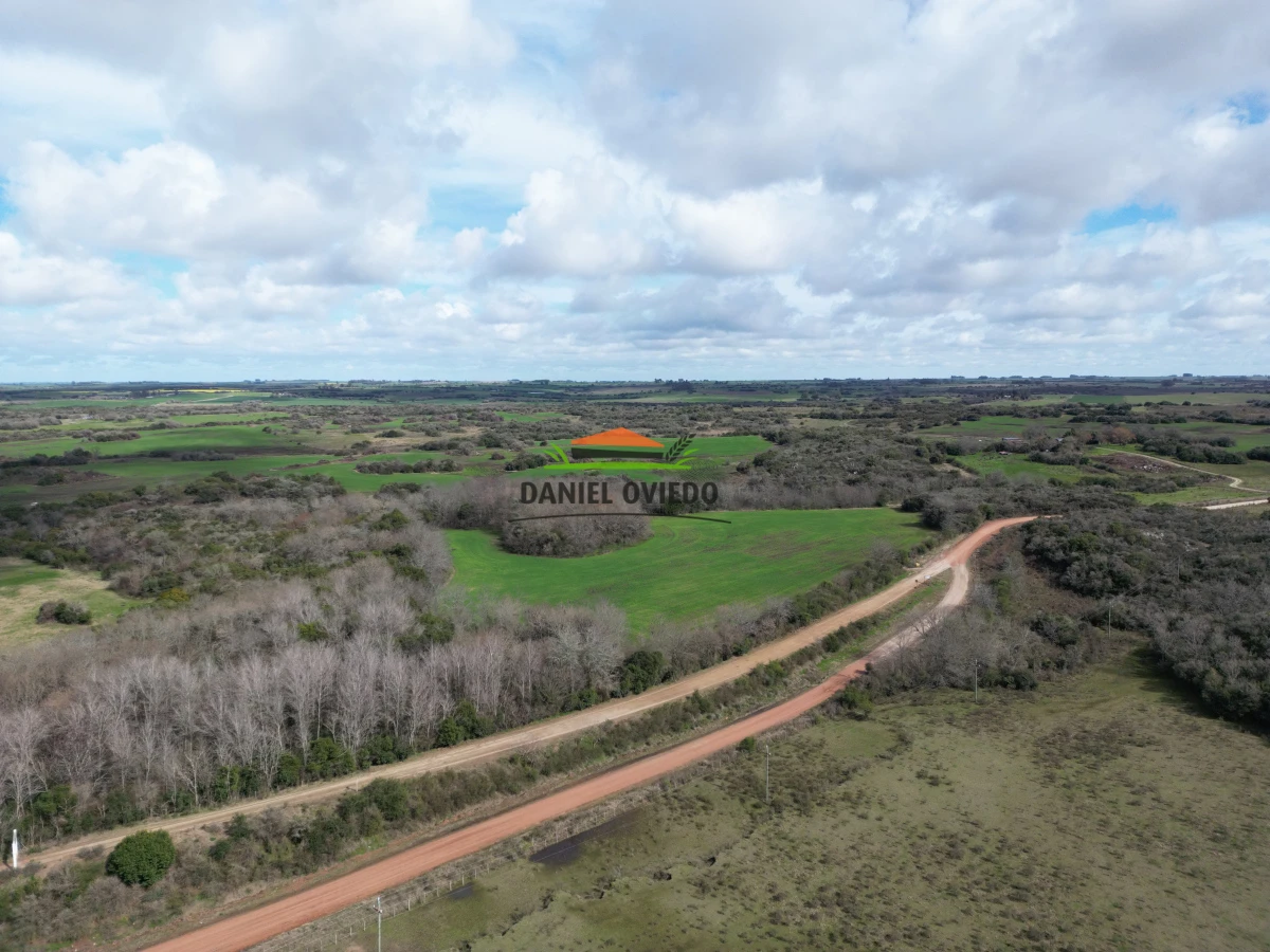 Campo Ref.249/Buen-campo-ganadero-en-venta-ideal-para-engorde. - Buen campo ganadero en venta ideal para engorde.