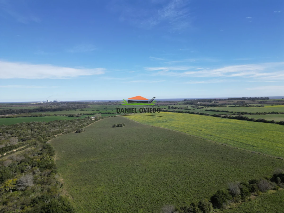 Campo Ref.414/ - ¡Nueva oportunidad rural proxima a Conchillas!