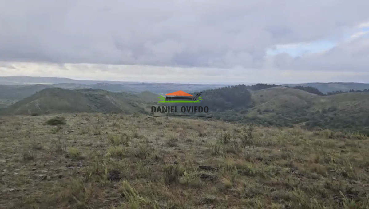 Campo Ref.350/Oportunidad-buen-campo-ganadero-en-venta-con-excelentes-vistas. - Oportunidad buen campo ganadero en venta con excelentes vistas.