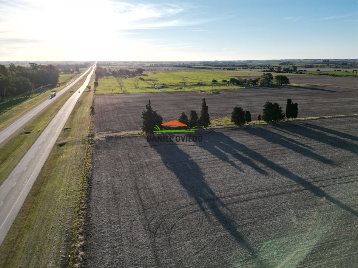 Campo Ref.209 - Excepcional ubicación en ruta 1 y campo productivo donde nadie vende.