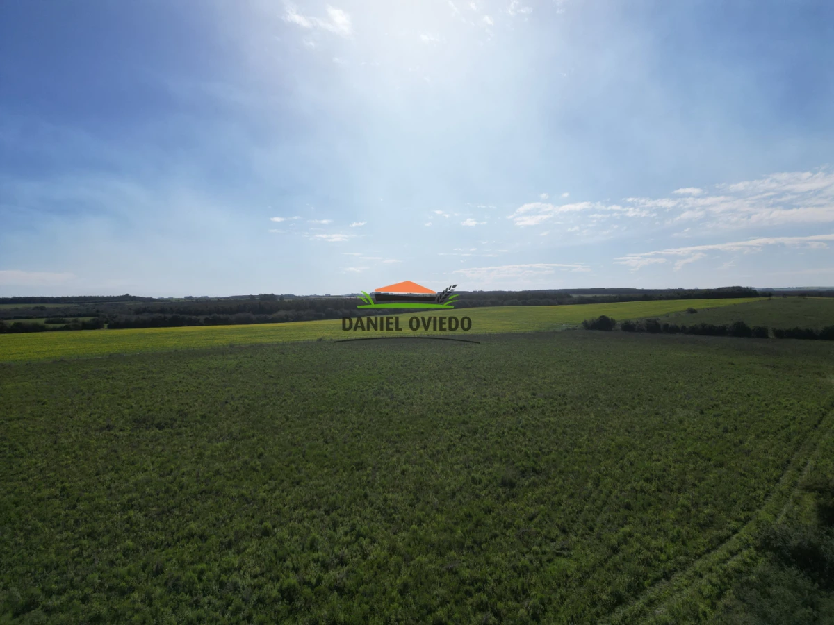 Campo Ref.414/ - ¡Nueva oportunidad rural proxima a Conchillas!