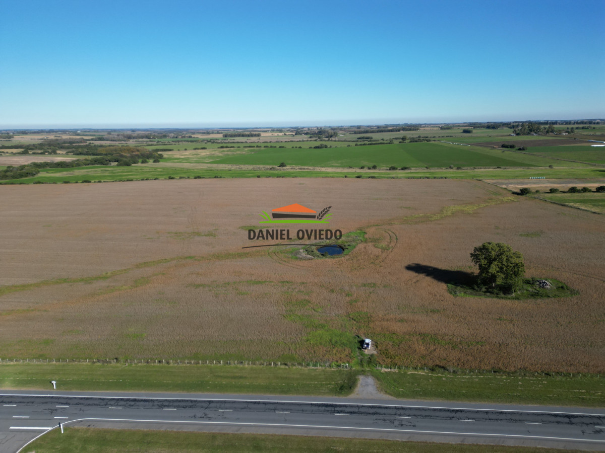 Campo Ref.383/22-Hect - 22 Hectáreas Agrícolas sobre Ruta 1 | Excelente Ubicación y Muy Buenos Suelos
