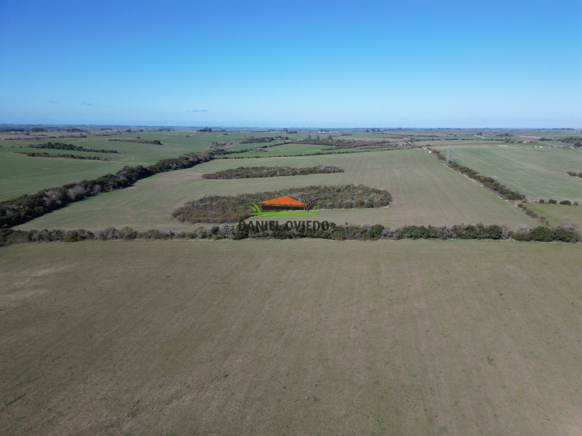 Campo Ref.244/Excelente-campo-agrícola-en-venta-en-Víboras,-Carmelo. - Excelente campo agrícola en venta en Víboras, Carmelo.