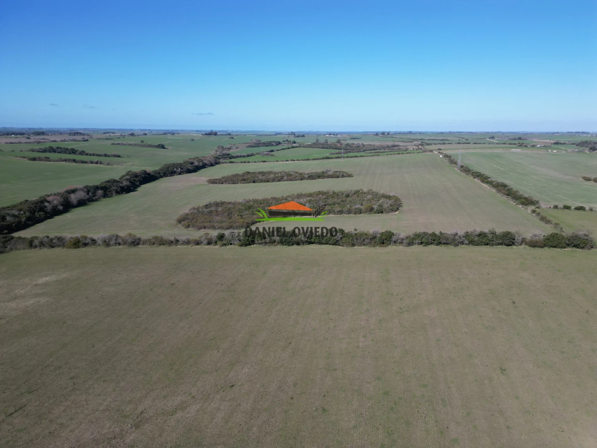 Campo Ref.244/Excelente-campo-agr - Excelente campo agrícola en venta en Víboras, Carmelo.